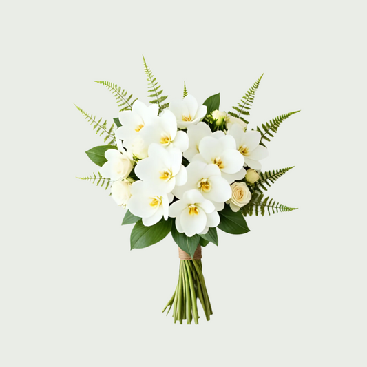 Orchid Signature White
